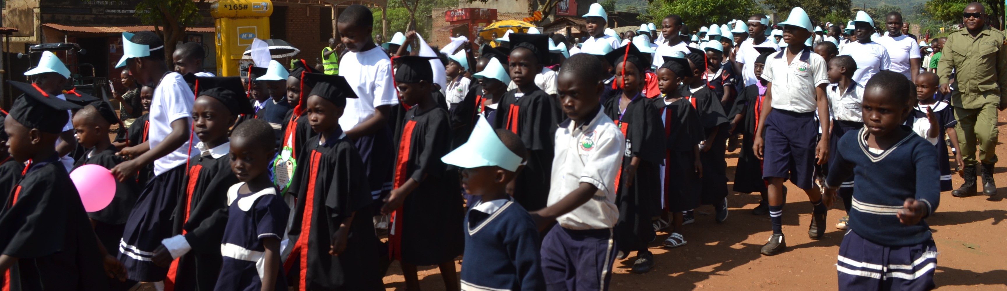 African Safari Landscape